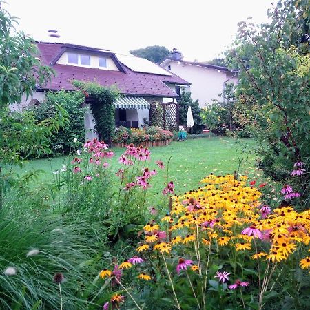 Apartma Golob Zgornja Kungota Экстерьер фото