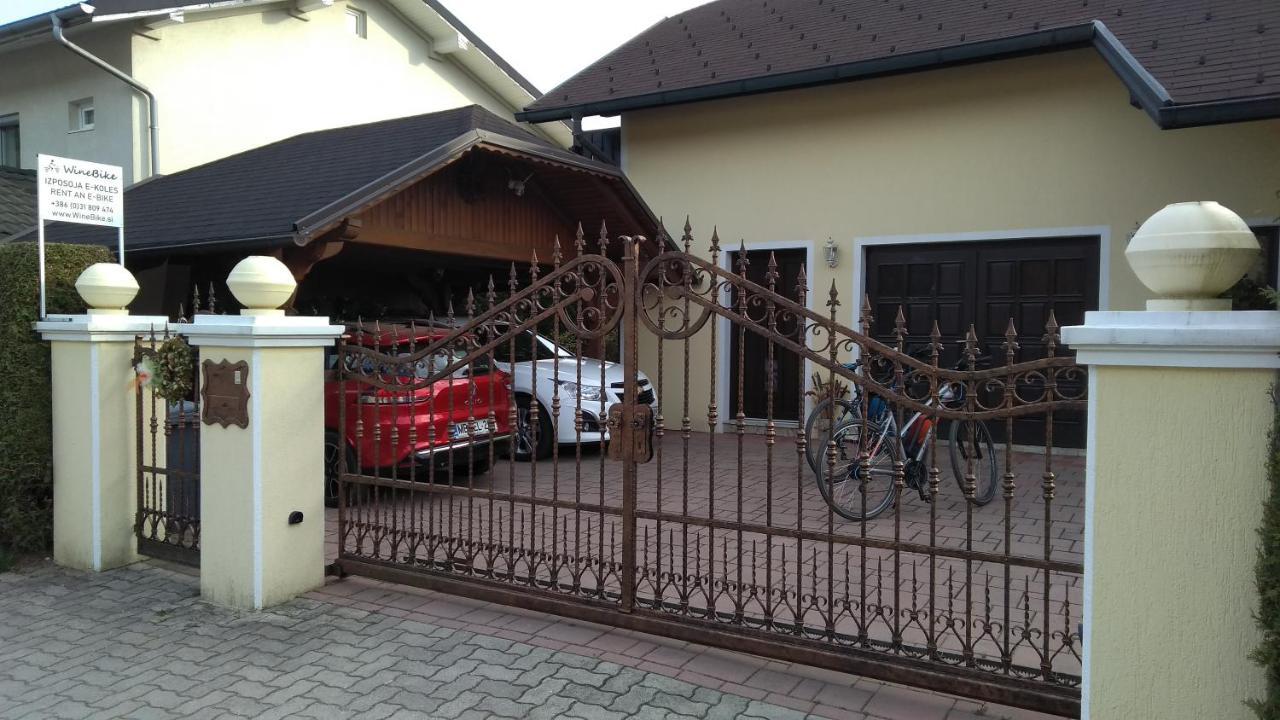 Apartma Golob Zgornja Kungota Экстерьер фото
