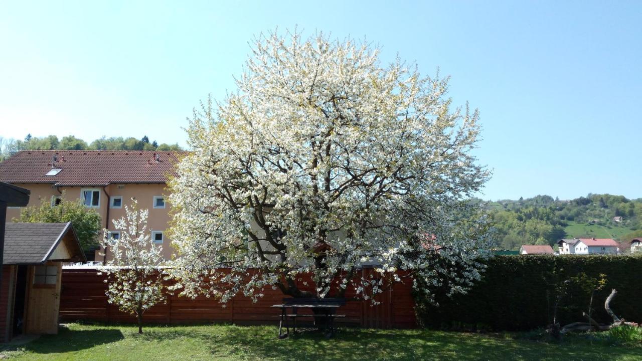 Apartma Golob Zgornja Kungota Экстерьер фото